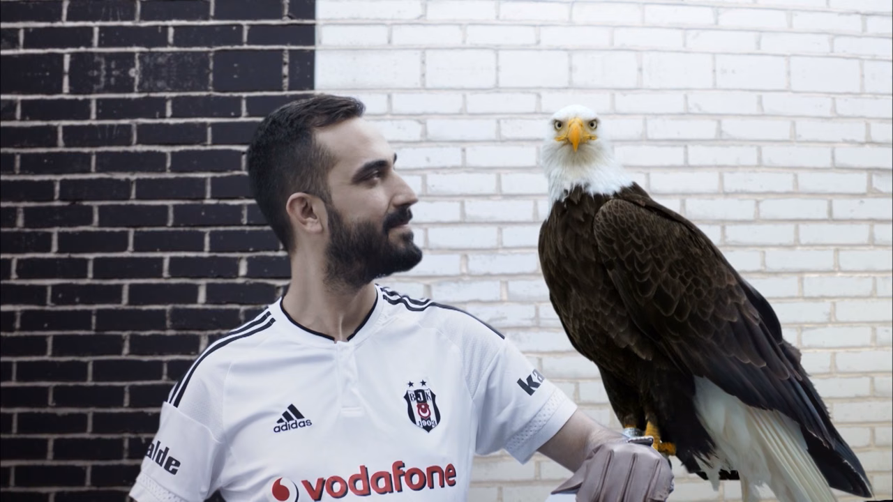 Vodafone Arena